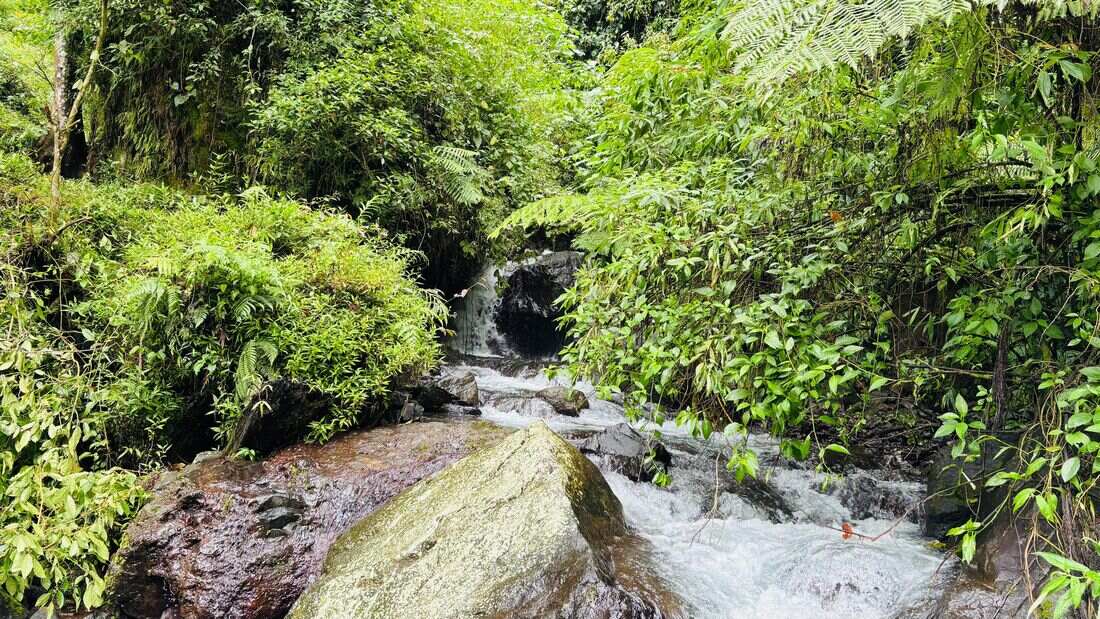 Galeri 1 - Air Terjun Tancak