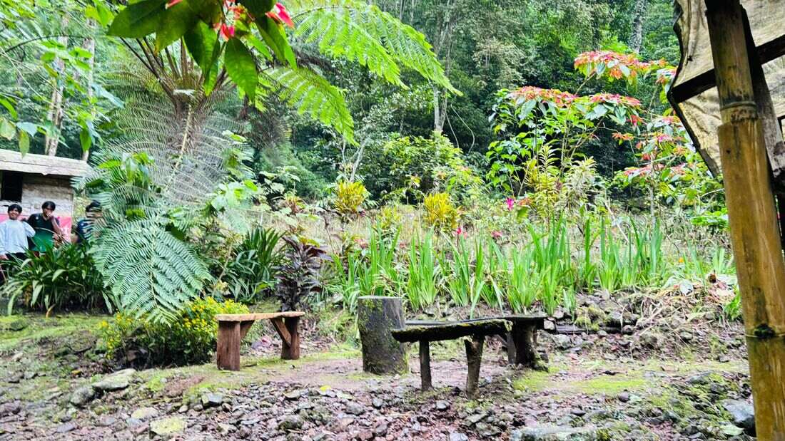 taman